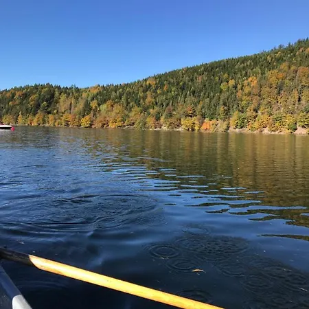 Ferienhutte Zeltplatz Hopfenmuhle Thuringen Fur 4 Personen Stausee Hohenwarte * Drognitz